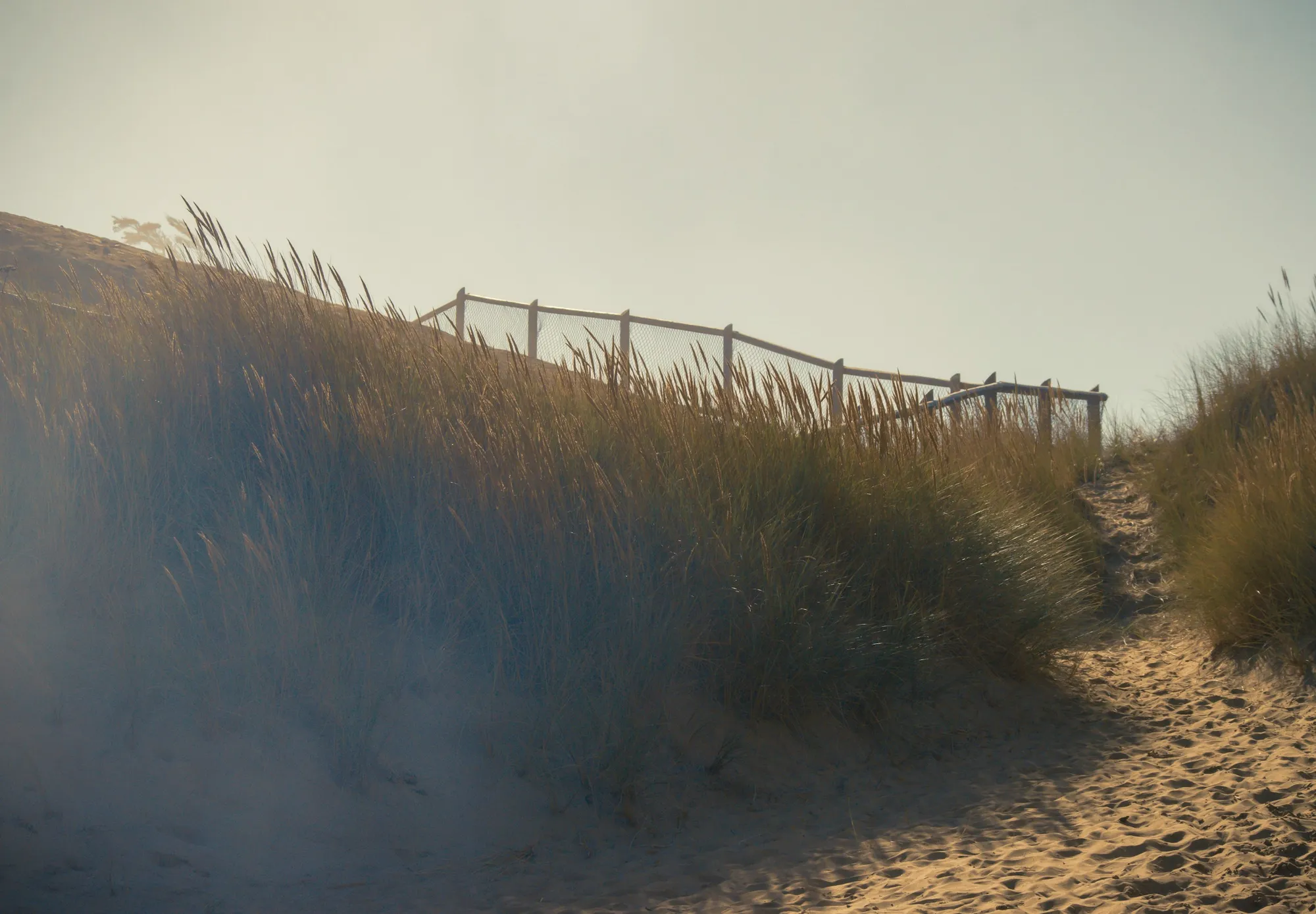 Atmosphère du projet Villa Dune