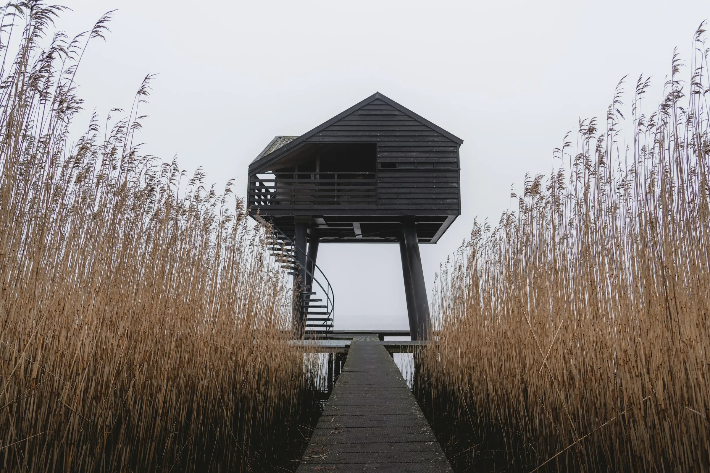 Villa Dune : maison en bois sur pilotis dans les dunes