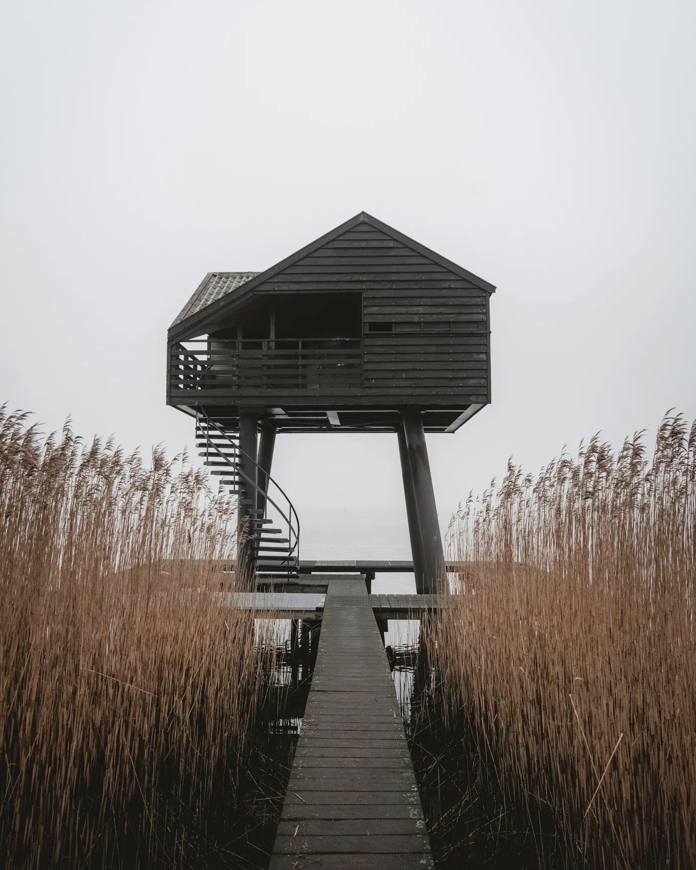 Détail de la structure en bois